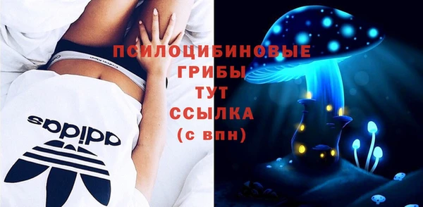 спиды Абинск