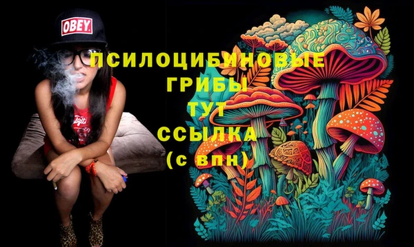 спиды Абинск