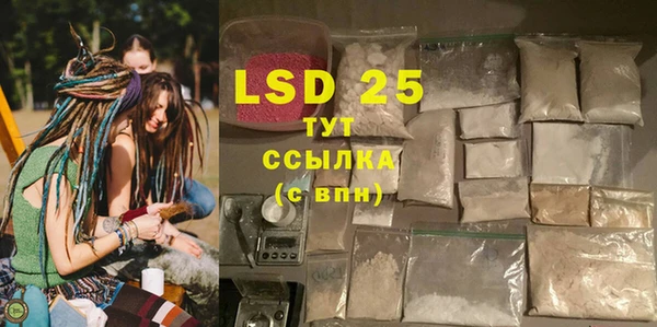 PSILOCYBIN Абдулино