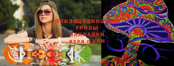 PSILOCYBIN Абдулино