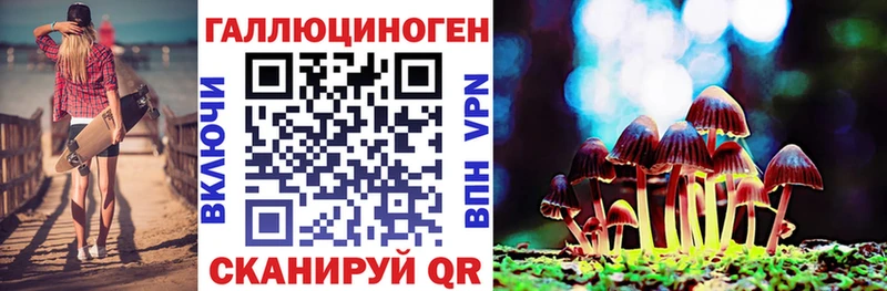 Галлюциногенные грибы Cubensis  MEGA вход  Шахунья 